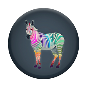 #11 Rainbow Zebra