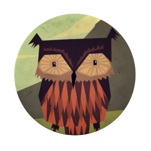 #100 Owl_FRONT - Yetiland
